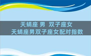 天蝎座 男  双子座女 天蝎座男双子座女配对指数